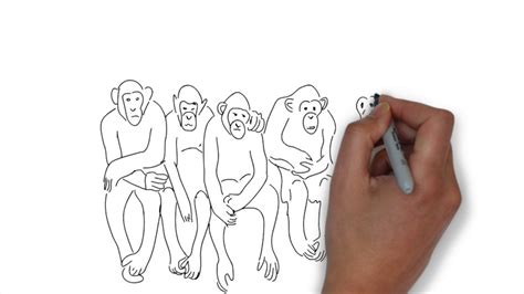 5 monkeys social experiment applicable to you - YouTube