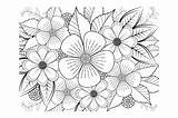 Floral Coloring Page Book For Adults Graphic By Stromgraphix · Creative  sketch template