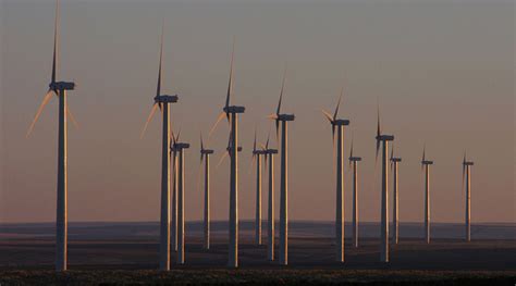 A new wind turbine inspired by a palm tree, big as the Empire State ...