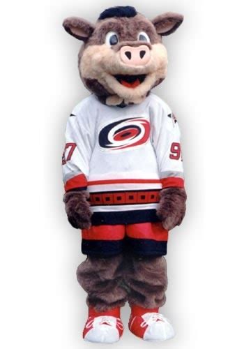 Mascot Madness!: Stormy (Carolina Hurricanes)