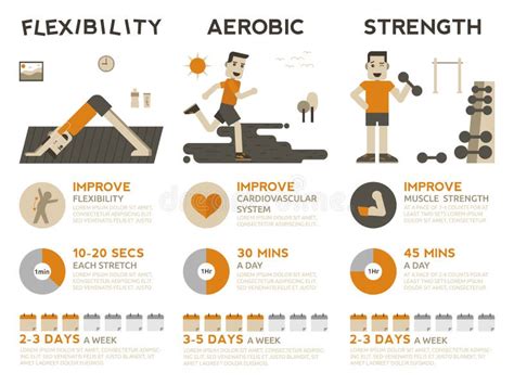 Exercise Infographic Stock Vector - Image: 57425921