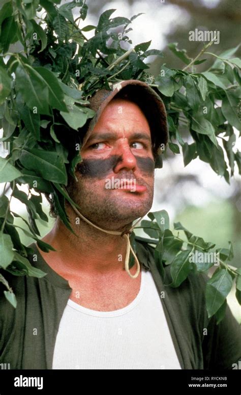 BILL MURRAY, CADDYSHACK, 1980 Stock Photo - Alamy