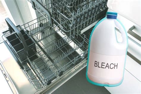 Cleaning a Dishwasher With Bleach - Everything You Need to Know