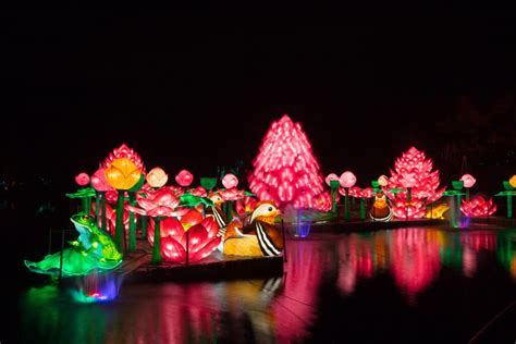 Brand New 'Wild Lights' Night Time Attraction Opens In Dublin Zoo Tomorrow!