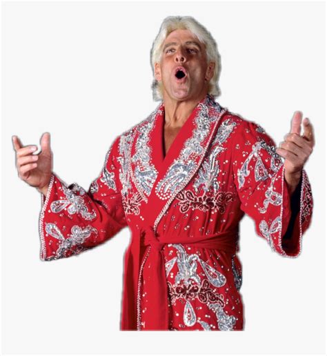 Ric Flair Costume Ideas, HD Png Download - kindpng