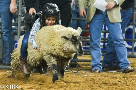 Sign your child up for Mutton Bustin' at Rodeo Houston 2019 | abc13.com