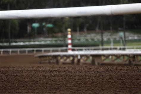 Santa Anita Race Track Set to Reopen Later This Month | Arcadia, CA Patch