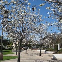 El Cajon Library - Libraries - El Cajon, CA - Yelp