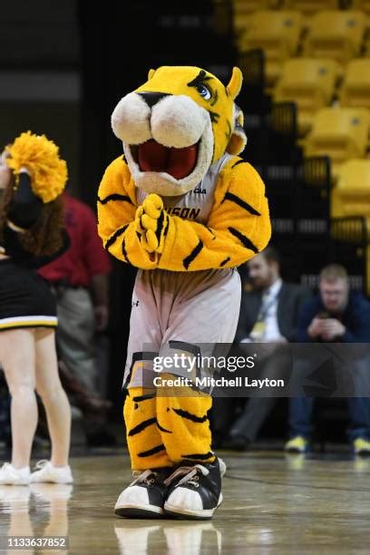 Towson Mascot Photos and Premium High Res Pictures - Getty Images