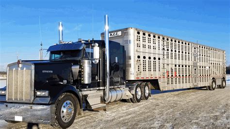 Bull Hauler Left Lane 2018 Kenworth 1920x1080 Wallpaper | Kenworth ...