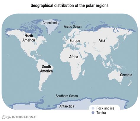 The fauna and flora of the Antarctic region | Visual Dictionary