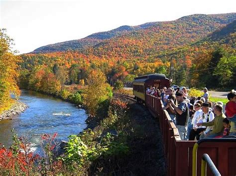 best fall foliage cruise nyc