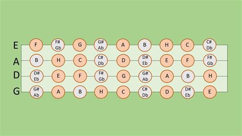 Noten lesen lernen für die Geige: Rundum-Guide | Superprof