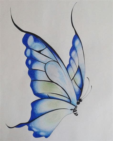 Image result for butterfly drawings with color blue | Butterfly art drawing, Butterfly drawing ...