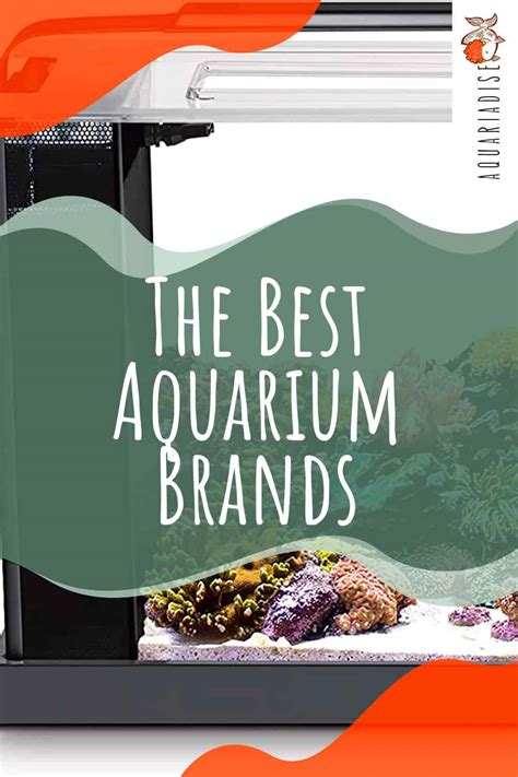 The Best Aquarium Brands For Your Fish Friends