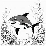 Black And White Kelp Drawing For Baby Shark Coloring Book  Stable sketch template