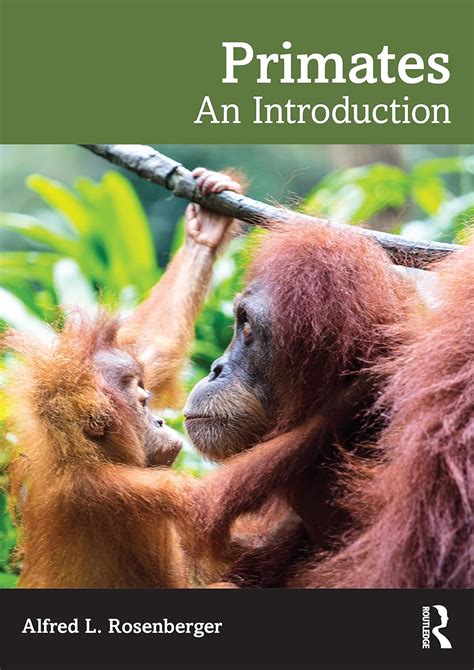 Primatology: An Introduction | NHBS Academic & Professional Books