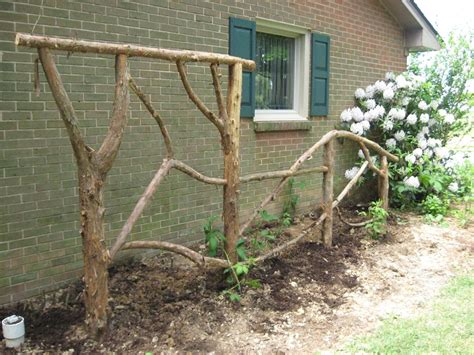 Diy Garden Trellis, Trellis Plants, Garden Vines, Garden Beds, Garden ...