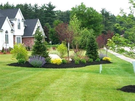 plants for privacy along property line - Google Search | Front yard landscaping design, Privacy ...