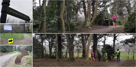 blog7t: Houghton Hall parkrun