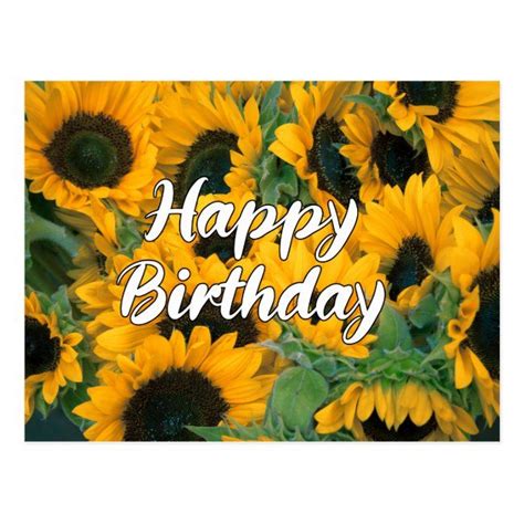 Sunflowers Happy Birthday Postcard | Zazzle | Happy birthday sunflower ...