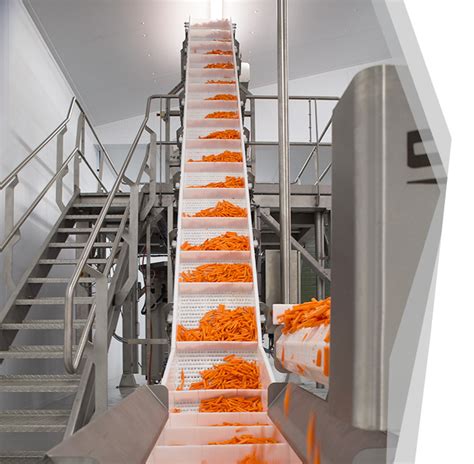 Conveyors | Designed For The Food Industry | Hygienic And Reliable