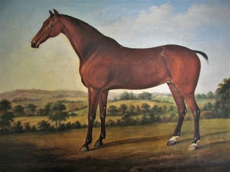 (After) George Stubbs - Horse in landscape, 18th century, circle George ...