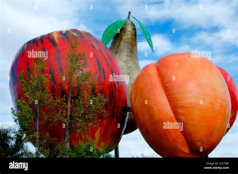 big fruit sculpture in Cromwell, New Zealand Stock Photo - Alamy