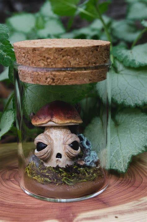 Baby Bolete cute mushroom figurine in jar miniature mushroom | Etsy ...