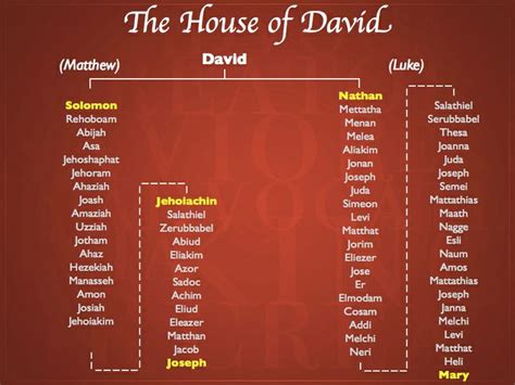 The House of David *** http://en.wikipedia.org/wiki/Davidic_line | Genealogy of jesus, Bible ...