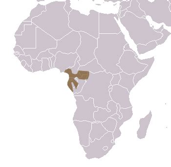 Western Lowland Gorilla Habitat Map