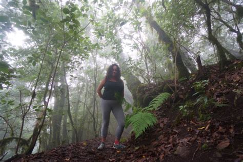 HIKING IN LA GOMERA: 9 BEST TRAILS