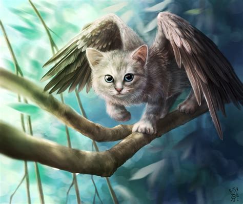 Gryphitten by NImportant on DeviantArt | Иллюстрации кошек, Самые милые животные, Животные