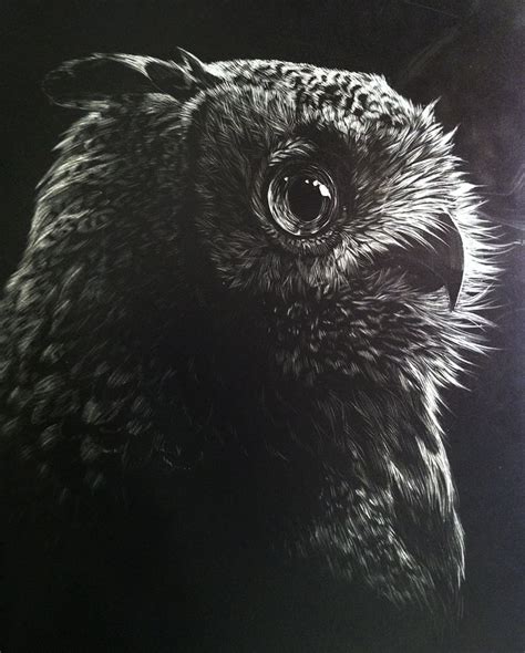 simple awesome scratchboard - Google Search | Scratchboard, Scratchboard owl, Scratchboard art