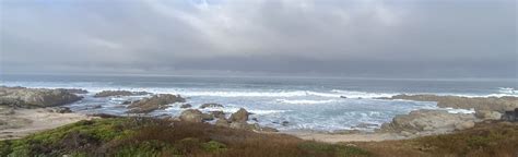 Asilomar State Beach and Coast Trail, California - 706 Reviews, Map | AllTrails