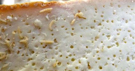 Casu Marzu, The Italian Maggot Cheese That's Illegal Around The World