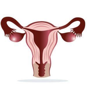 Cryptomenorrhea: What is it? | Signs and Symptoms