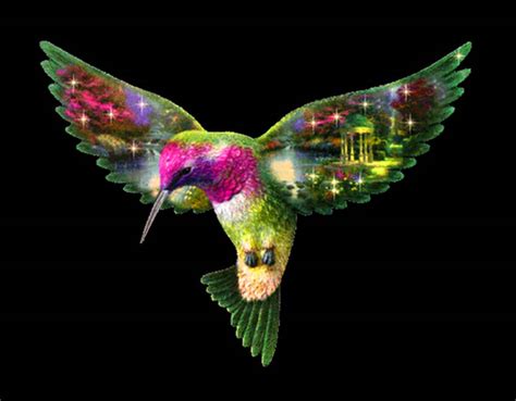 Free Hummingbird Wallpaper and Screensaver - WallpaperSafari