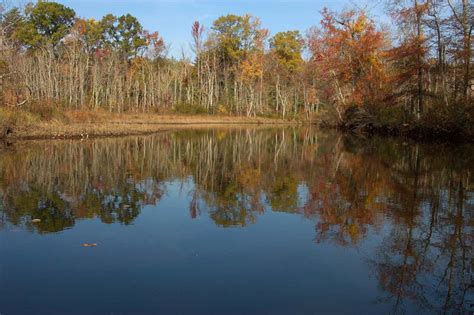 Alan Eckert Photography - Nanjemoy Creek - Nanjemoy reflections4