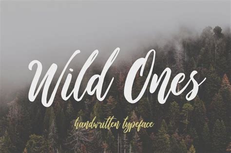 31 Best Outdoors Camping Fonts 🏕️ | Design Inspiration