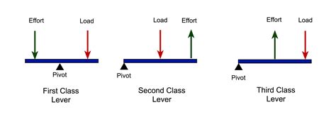 Explain the Difference Between 1st 2nd and 3rd Class Levers ...