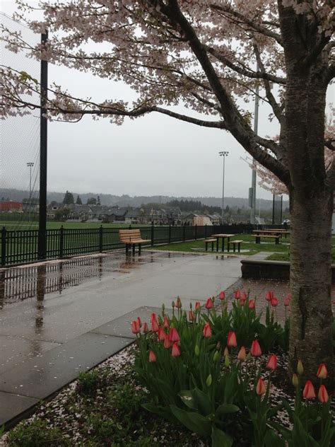 PCC Rock Creek Soccer Fields, Portland, OR - MapQuest