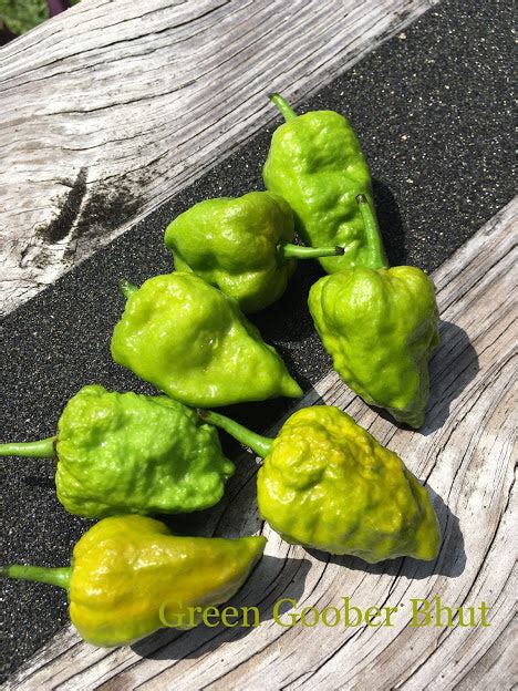 Green Ghost Pepper