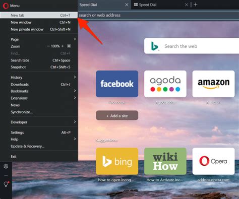 How to Open Private Window and New Tabs on Opera Computer