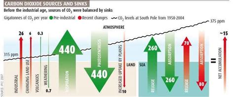 Climate myths: Human CO 2 emissions are too tiny to matter | New Scientist