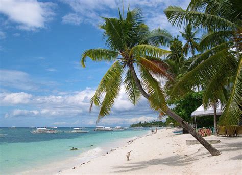 Best Beaches in Bohol - 5 of the Best Beaches in Bohol, Philippines