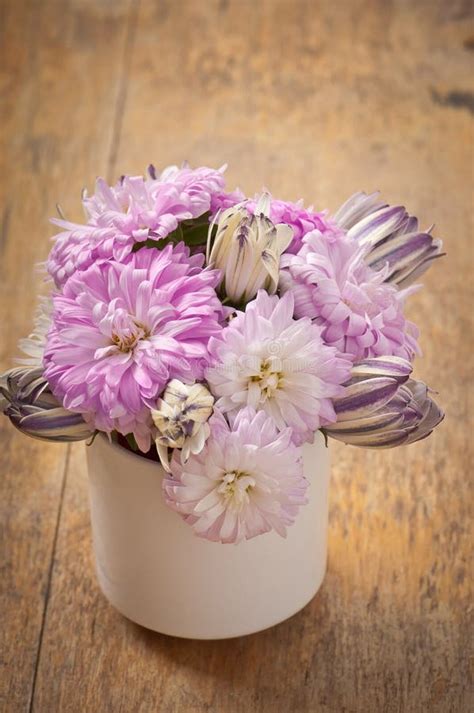 Beautiful Aster Flower Bouquet Stock Photo - Image: 33197484