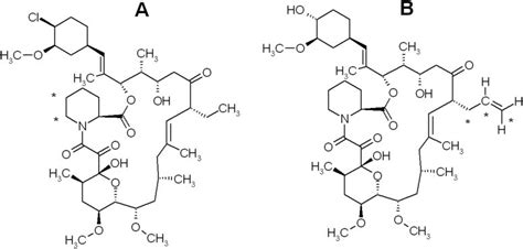 Structures of 3 H-labeled pimecrolimus (A) and tacrolimus (B ...