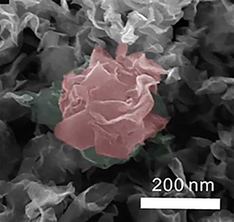 Superior hydrogen catalyst just grows that way – LabNews