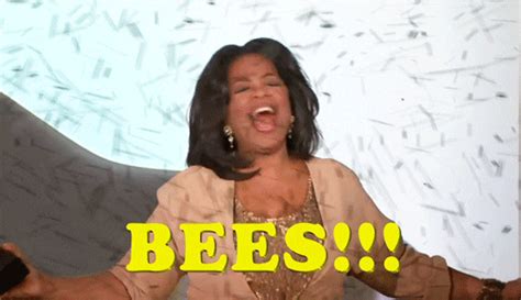 Bees GIF by Team Coco - Find & Share on GIPHY